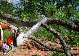 Lawn Watering Services in Commerce, GA